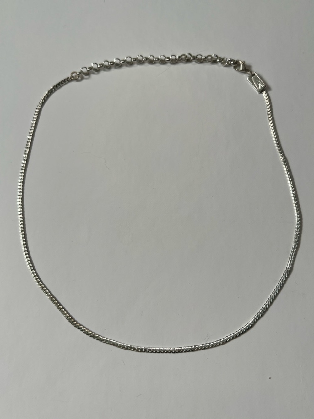 Regal Rose Silver Women’s Snake Chain Necklace - Silver